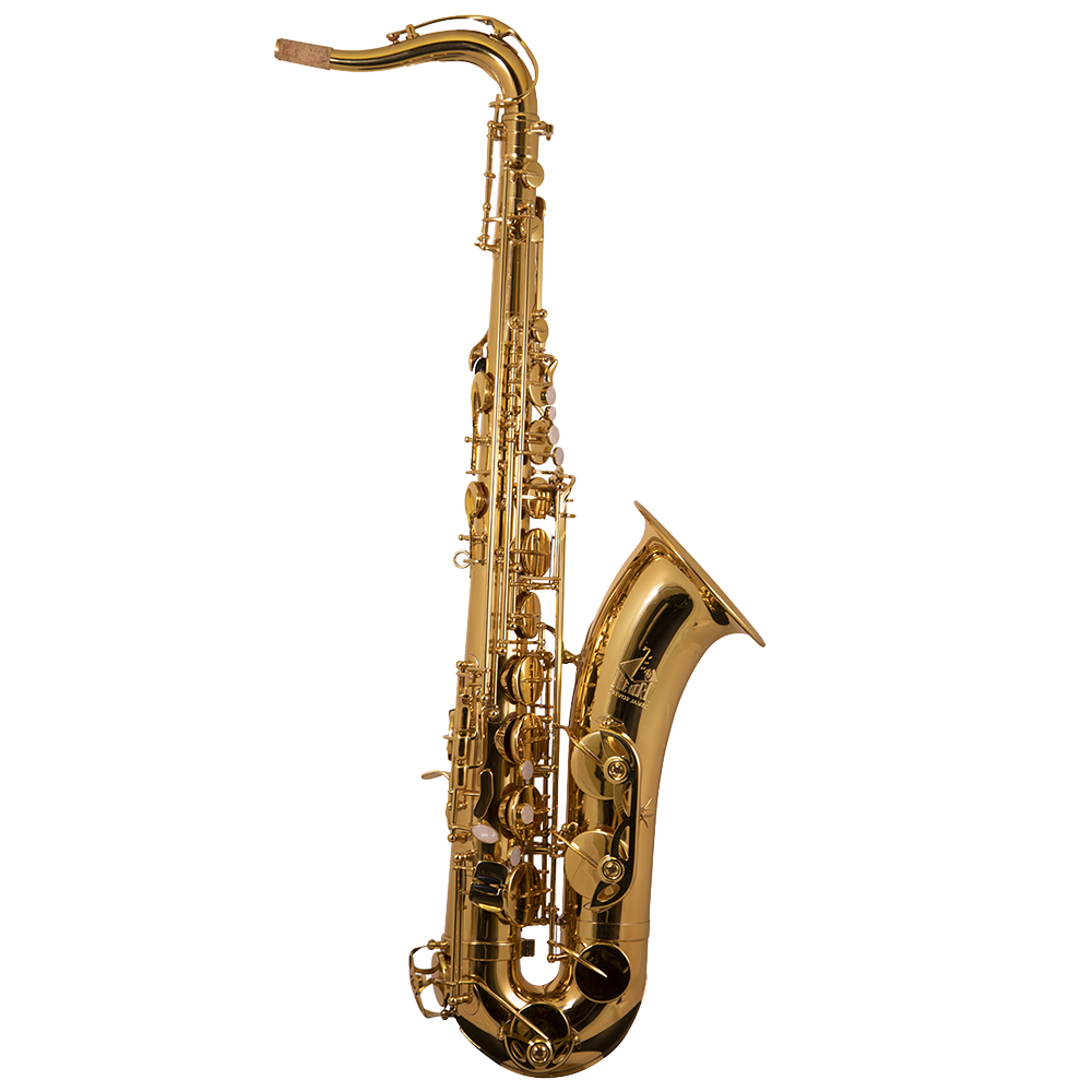 Trevor James 3830G The Horn Tenorsaxofoon – Goudlak