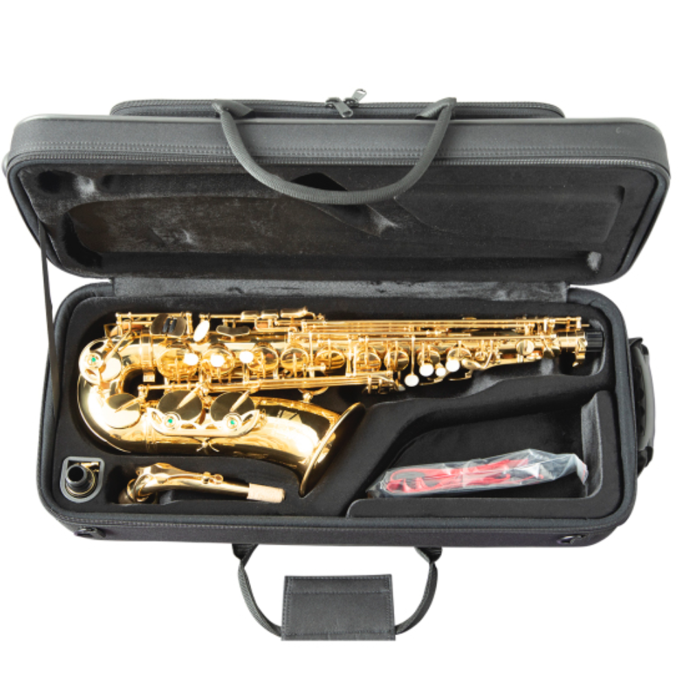 Trevor James The Horn in koffer