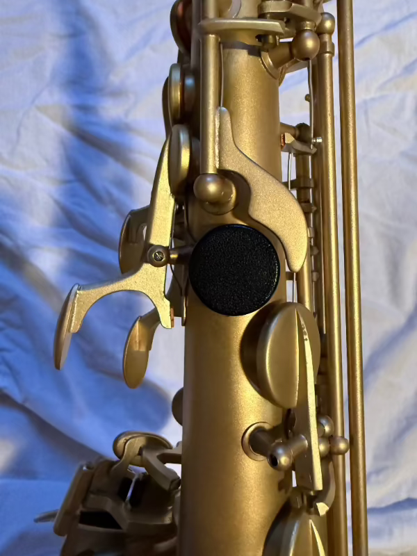 Adams-alt-saxofoon-duim