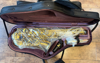 Trevor James SR alto saxophone – gold lacquer saxophone packed inside the protective shaped gig bag with accessories
