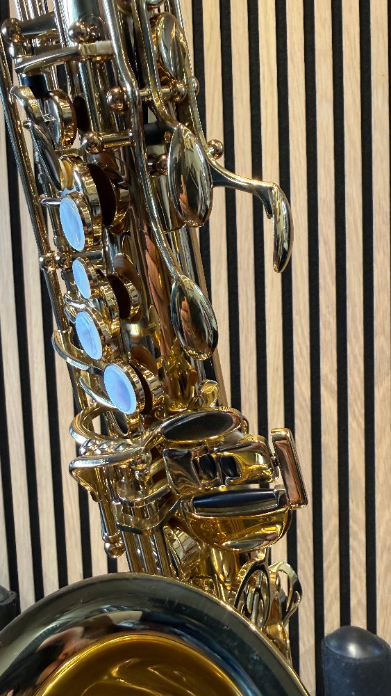 Trevor James SR alto saxophone in gold lacquer – close-up of pearl key touches, side keys and upper keywork
