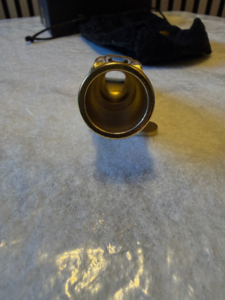 Interior view of Theo Wanne Earth alto sax mouthpiece chamber