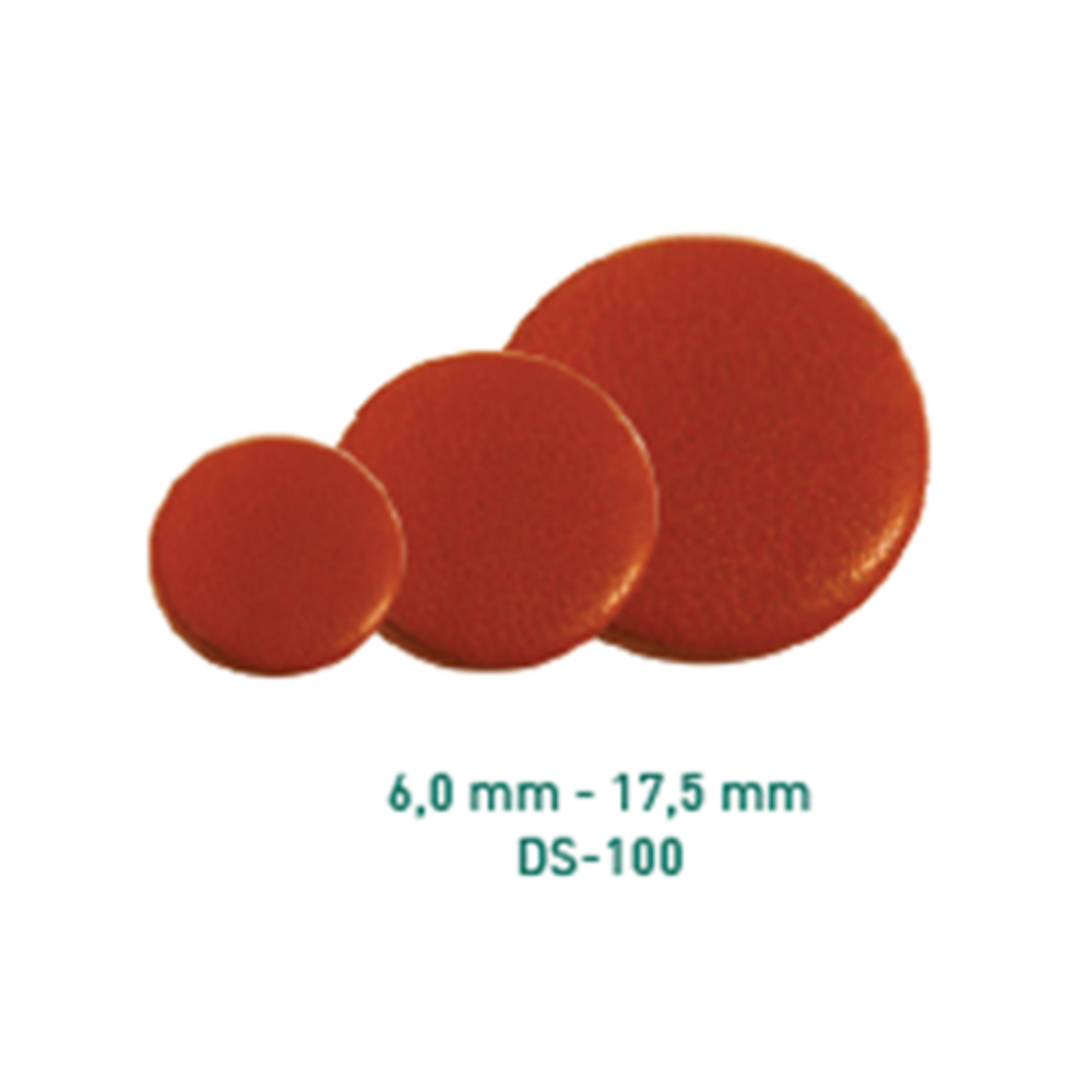 Pisoni ds100