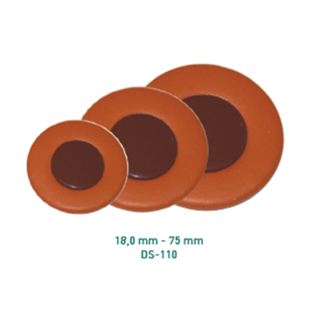 Pisoni ds110