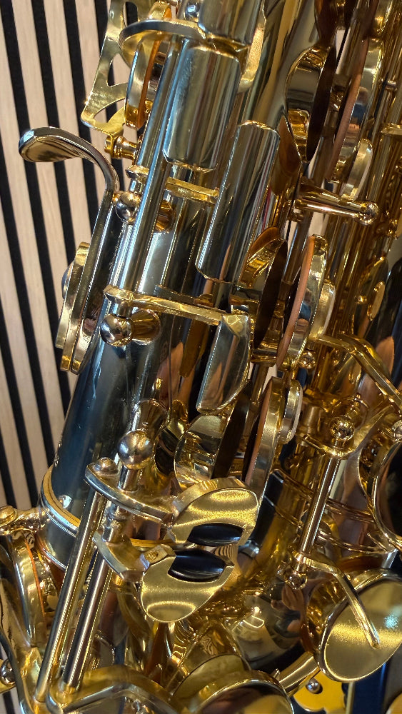 Royal Winds by Borgani RAS55 alto saxophone in gold lacquer – close-up of side keywork, rods and mechanism details
