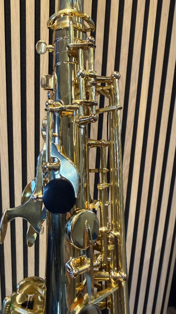 Royal Winds by Borgani RAS55 alto saxophone in gold lacquer – close-up of palm keys and upper keywork
