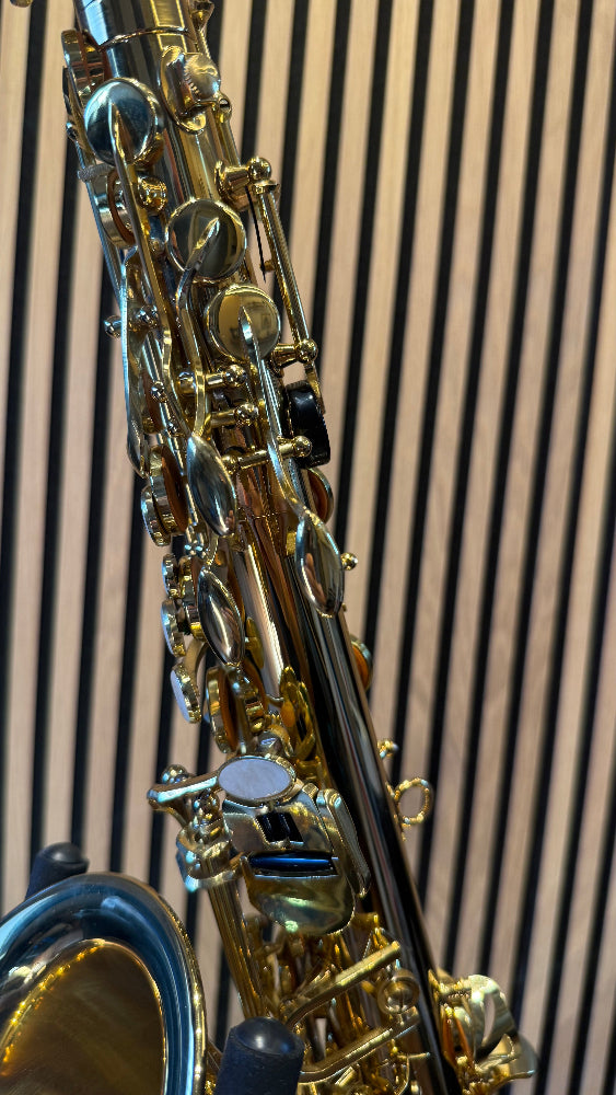 Royal Winds by Borgani RAS55 alto saxophone in gold lacquer – close-up of upper keywork, palm keys and pearl key touches
