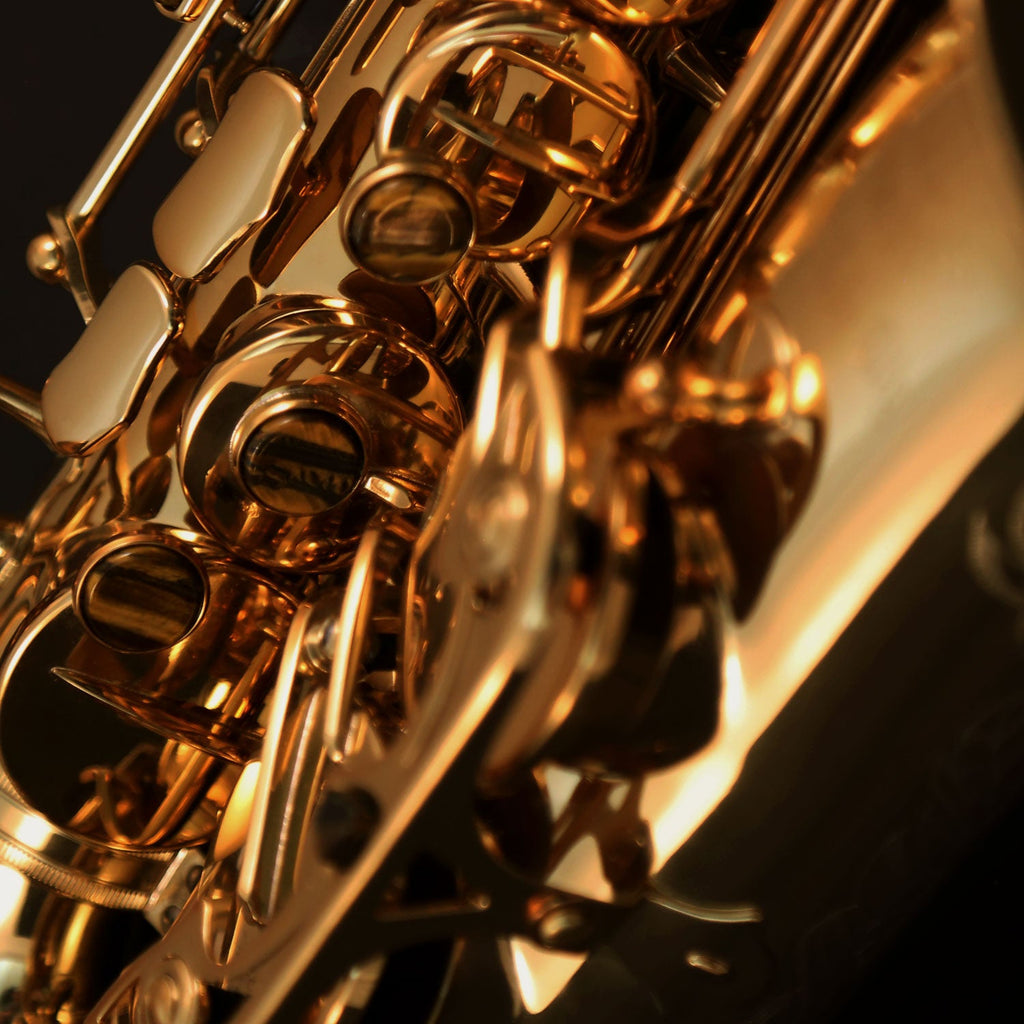 Cannonball A5-L Big Bell Stone Series alto saxophone in Rich Gold Lacquer - product image 6