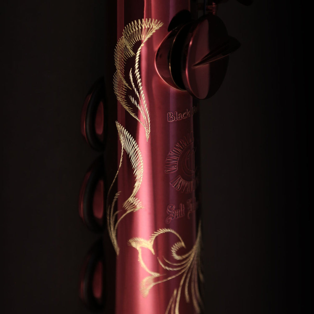 Cannonball A5-R alto saxophone – upper body engraving and lacquer detail
