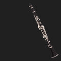 Cannonball MC 6 b♭ clarinet – Silver-Plated Keys