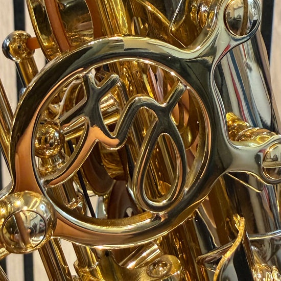Trevor James SR alto saxophone in gold lacquer – 360-degree rotating product video